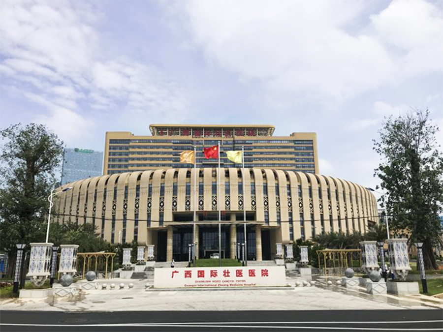 驚艷亮相|和佳股份為廣西60周年獻(xiàn)禮工程畫(huà)像